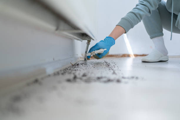 Professional Pest Control in Richton, MS